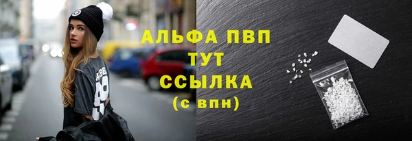 стафф Калининец