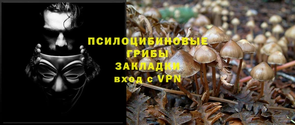 соль курить ск Кукмор