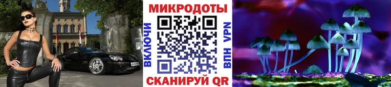Галлюциногенные грибы Psilocybe  Воронеж 