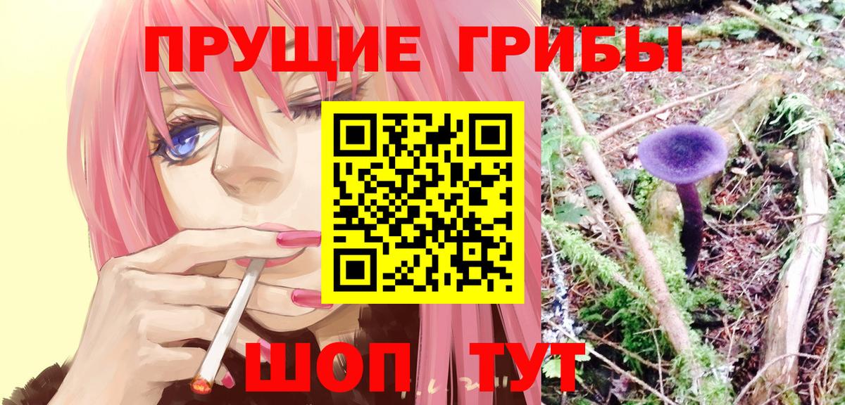 Псилоцибиновые грибы Cubensis  Вход с VPN  Воронеж 