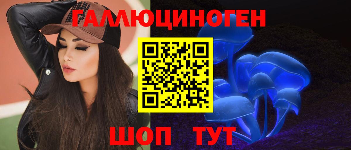 Галлюциногенные грибы Psilocybine cubensis Воронеж