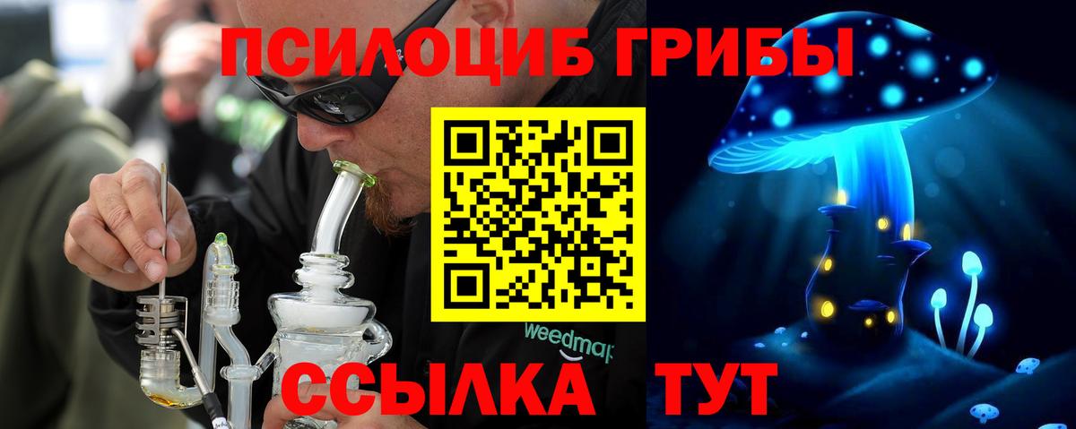 Галлюциногенные грибы Psilocybine cubensis  купить   Воронеж 